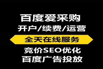 某行业SEM竞价策略的运营实践与效果